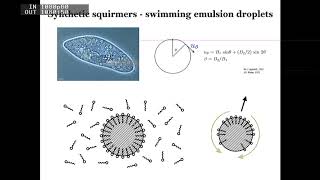 Collective Behavior and Selforganization in Synthetic Active Matter [upl. by Hamaso]