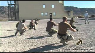 Military Duck Walk Band Pull Aparts  Multitask Exercise  Primal Fitness Systems [upl. by Bixby]