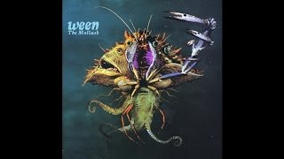 Ween  The Mollusk Sessions  Kim Smoltz [upl. by Ttocs]