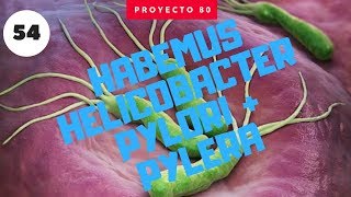 Habemus Helicobacter Pylori  Pylera  VLOG 54  Proyecto 80 [upl. by Bevis]