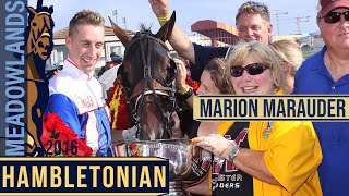 2016 Hambletonian Final  Marion Marauder [upl. by Bartram606]