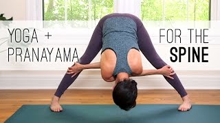 Yoga  Pranayama for the Spine  Yoga With Adriene [upl. by Schaab]