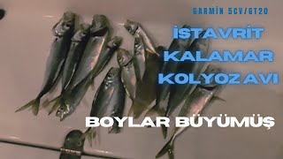 Bu Takım Varsa Balıksız Dönmezsin  Garmin Balık Görüntüleri  2 Av 1 Video [upl. by Reamy184]