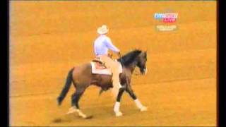 Reining WEG 2010 Kentucky part 15 [upl. by Wolf398]