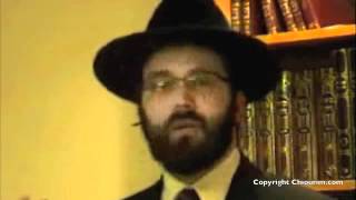 cours pessah  hamets et matsa l antithese  par le Rav Dov LumbrosoRoth [upl. by Llenwahs451]