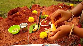 How to do Nagara Panchami Pooja  नागपंचमी पूजा  ನಾಗರ ಪಂಚಮಿ ಪೂಜೆ  నాగ పంచమి పూజ  Nag Panchami [upl. by Notgnimer]