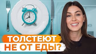 Изза ЭТОГО вы ТОЛСТЕЕТЕ каждый ДЕНЬ  Самые НЕОЧЕВИДНЫЕ причины лишнего веса [upl. by Eila491]