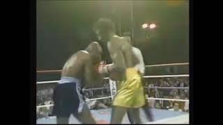 Marvin Hagler Vs Tommy Hearns Highlights The Best War of All [upl. by Eurd]