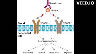 bevacizumab uses mode of action [upl. by Aaron920]