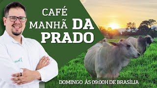 Café da Manhã da Prado AUMENTE seu LUCRO por ARROBA produzida pecuária [upl. by Willow]