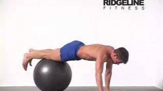 15 Swiss Ball Push Up [upl. by Lucille]