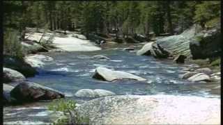 Natures Symphony  soothing classical music and spectacular wildlife footage [upl. by Adnar514]