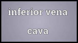 Inferior vena cava Meaning [upl. by Naugal614]