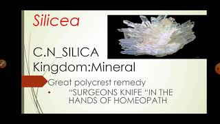 SILICEA HOMEOPATHIC REMEDYcomplete drug picture [upl. by Alfred]