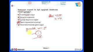 9 Sınıf Biyoloji Kazanım Testleri 19 2022  2023 Hücre [upl. by Ayalahs]