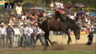 Dean Thompson Rides for 1715 Points on Two to Win Pendleton Roundup [upl. by Eidur]