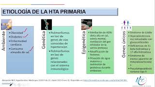 Hipertensión Arterial Etiología Fisiopatología de la HTA 13 [upl. by Hanforrd]