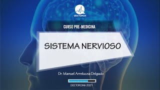 SISTEMA NERVIOSO  CURSO PREMEDICINA [upl. by Haines679]