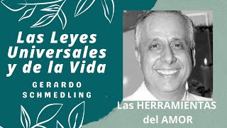 10  Los 7 Niveles Evolutivos de la Consciencia Humana  Gerardo Schmedling [upl. by Sarge]