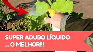 SUPER ADUBO LÃQUIDO de hÃºmus de minhoca turbinar plantas [upl. by Edsel438]