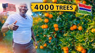 He left USA🇺🇸 to invest D11 Million in Orange Farm A Bold Investment Story [upl. by Bazil]