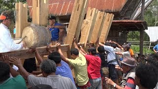 Teknologi Primitif Pembangunan Rumah Tongkonan Toraja [upl. by Lakym794]