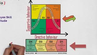 MBA 101 Leadership Situational Leadership Contingency Model [upl. by Erbas]