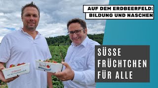 Landwirtschaft Erdbeeren vor der Haustür [upl. by Anitsrhc]