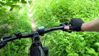 Lions trail Steyning MTB May 24 [upl. by Cherin]