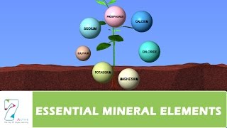 ESSENTIAL MINERAL ELEMENTS PART 02 [upl. by Lionello666]