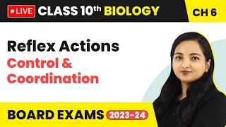 Reflex Actions  Control and Coordination  Class 10 Biology Chapter 6 LIVE [upl. by Sigrid]