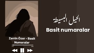 Zerrin Özer  basit numaralar sözleri اغنية تركية مترجمة بالكلمات [upl. by Sissel720]