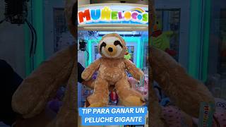 Win perezoso gigante 🦥 muñelocos shortvideos perezoso shorts suscribete shortvideos xtreme [upl. by Hoem470]