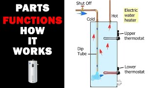 How an Electric Water Heater Works [upl. by Rori209]