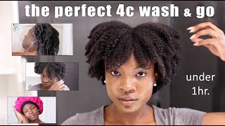 Easiest 4C Wash and Go Routine For Beginners Natural Hair Wash Day  Care Throughout The Week [upl. by Letsirc]