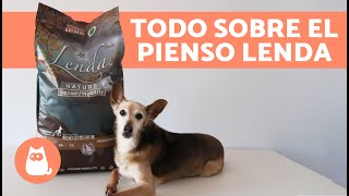 ¿Cómo es el PIENSO LENDA para PERROS 🐶🥩 Composición Variedades y Beneficios [upl. by Yecies]