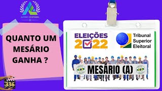 QUANTO UM MESÁRIO GANHA [upl. by Downe]