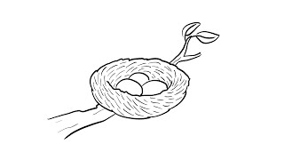 How to Draw a Simple Birds Nest  StepbyStep Lesson [upl. by Nylhsoj]