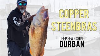 Massive Copper Steenbras Caught  Deep Sea Fishing Durban  Shivaals Birthday Present  SuperfishSA [upl. by Nitneuq]