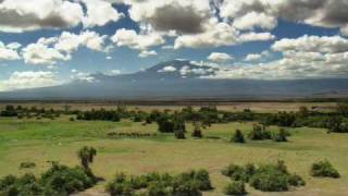 Echo and the Elephants of Amboseli Promo [upl. by Aihsal]