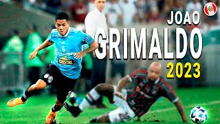 ASÍ JUEGA JOAO GRIMALDO  Mejores Jugadas ● 2023ᴴᴰ [upl. by Richy]