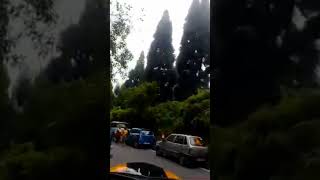 mirik Darjeeling nepal kanyam nature viralvideo viralshorts mirik darjeeling travel top [upl. by Ydnys490]