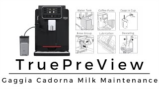 Gaggia  Cadorna Milk Bean to Cup Coffee Machine  Maintenance [upl. by Ahtabbat435]