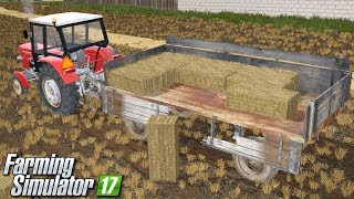 Ręczne zbieranie snopków  Farming Simulator 17 Górale V5  21 [upl. by Lashond]