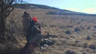 Hunting Whitetail Deer Alberta Canada Winchesters World Of Whitetails With Willow Creek Outfitters [upl. by Penelopa]