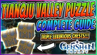 Genshin Impact Springvale Seelie Blue Spirit puzzle exquisite chest Location guide [upl. by Ayila]