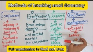 Methods of breaking seed dormancyPlant physiology bscbotany [upl. by Lyrej]