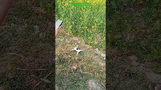 K80 Pro max drone flying [upl. by Annaliese]