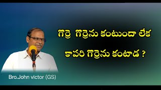 గొర్రె గొర్రెను కంటుందా లేక కాపరి గొర్రెను కంటాడ Bible study [upl. by Denoting]