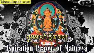 ☸Aspiration Prayer Of MaitreyaTibetanEnglishབྱམས་པའི་སྨོན་ལམ།Tibetan prayer Buddhist Prayer [upl. by Keraj547]